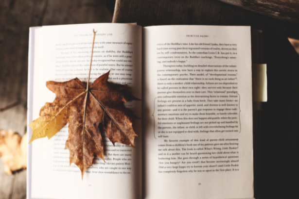 Resumo do livro "O Labirinto" – ACH Smith