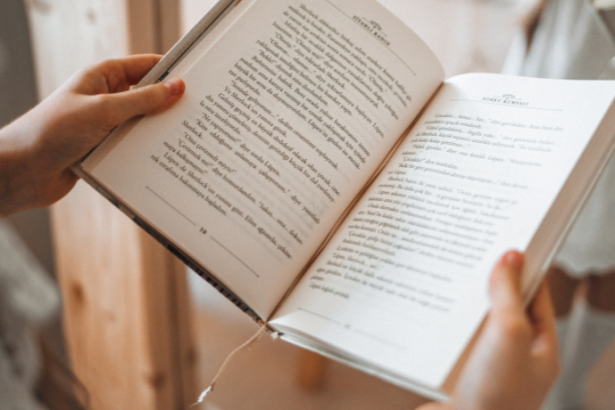 Resumo do livro "O Passarinho e a Tempestade" por Júlio Emílio Braz