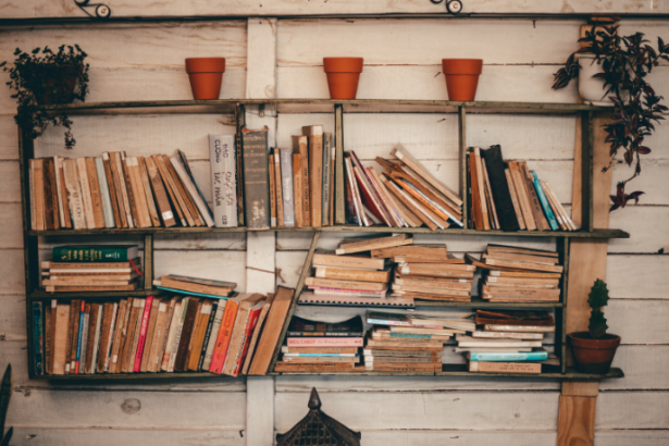 Resumo do livro "O Som e a Fúria" – William Faulkner
