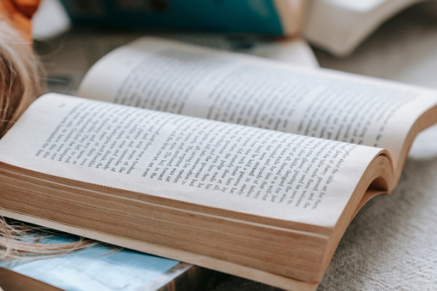 Resumo do livro "Provas no Processo Civil: Teoria e Prática" – Daniel Amorim Assumpção Neves
