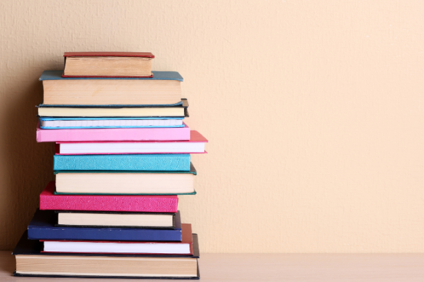 Resumo do livro "Um Amor Anarquista" de Miguel Sanches Neto