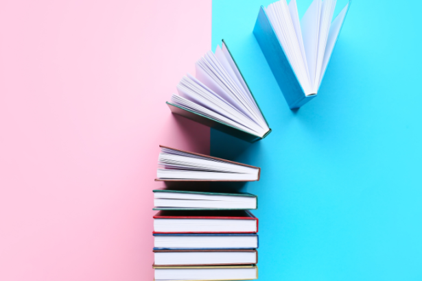 Resumo do livro “Execução Civil” por Humberto Theodoro Júnior