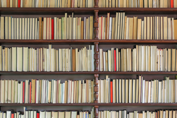 Resumo do livro O Homem que Amava os Cachorros por Leonardo Padura