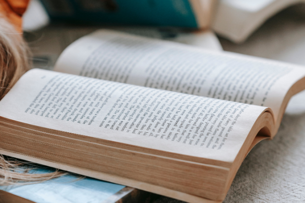 Resumo do livro O Mendigo que Sabia de Cor os Adágios de Erasmo de Rotterdam por Evandro Affonso Ferreira