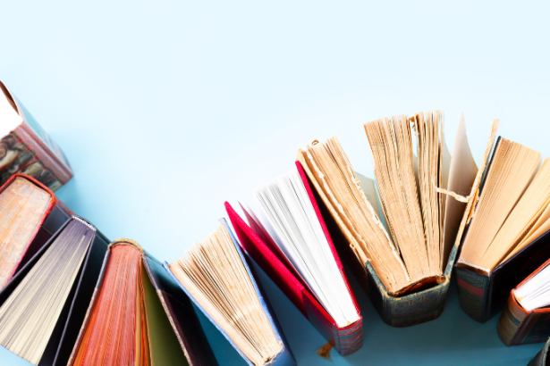 Resumo do livro "A Guerra do Bom Fim" – Moacyr Scliar