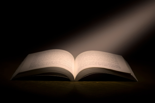 Resumo do livro "A Bíblia e Sua Interpretação" – Moisés Silva