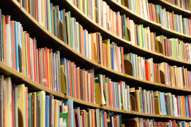 Resumo do livro "A Esposa de Pilatos" – Antoinette May