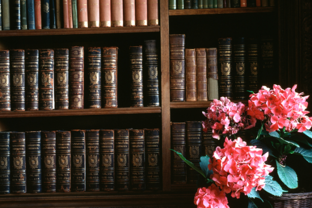 Resumo do livro "A Formiga e a Pomba" – Esopo