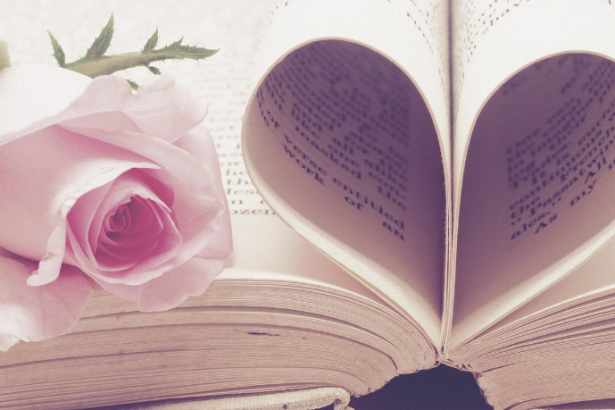 Resumo do livro "A Hospedeira" – Stephenie Meyer