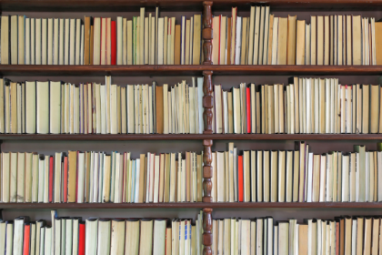 Resumo do livro "A Raposa e o Lenhador" – Esopo