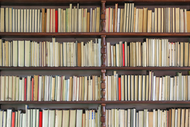 Resumo do livro "A Raposa e o Lenhador" – Esopo