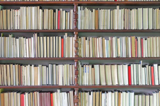 Resumo do livro "As Meninas" – Lygia Fagundes Telles