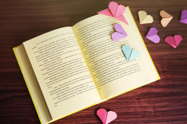 Resumo do livro "Crônica da Casa Assassinada" – Lúcio Cardoso