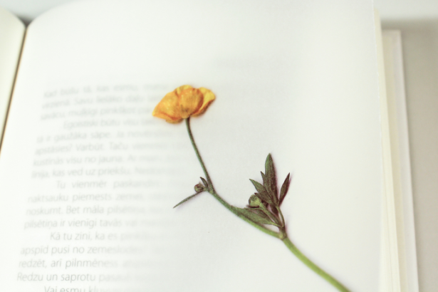 Resumo do livro "Doidinho" – José Lins do Rego