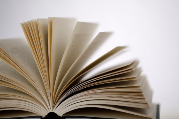 Resumo do livro "Gestão de Escritórios de Advocacia" – Alexandre Motta