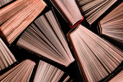 Resumo do livro "Manual dos Recursos Cíveis" – Nelson Nery Junior e Rosa Maria de Andrade Nery
