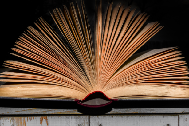 Resumo do livro "O Ateneu" – Raul Pompéia