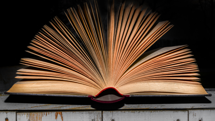 Resumo do livro "O Ateneu" – Raul Pompéia