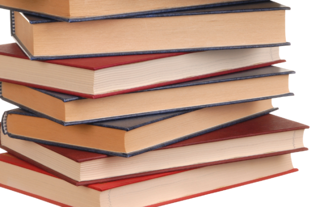 Resumo do livro "O Coração de Tamar" – Tessa Afshar