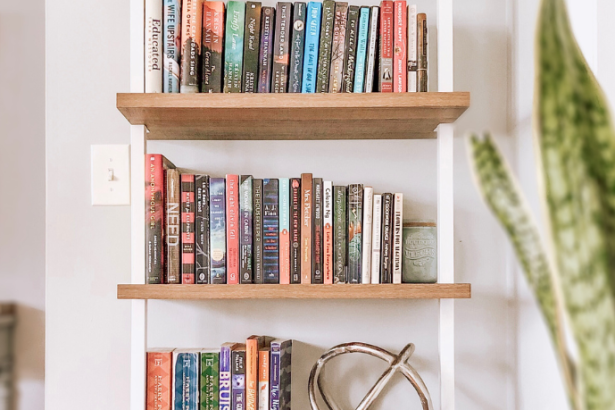 Resumo do livro "O Leão e o Rato Agradecido" – Esopo