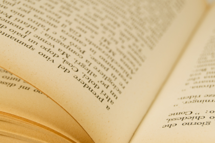 Resumo do livro "O Macaco e o Golfinho" – Esopo