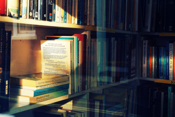 Resumo do livro "O Rato do Campo e o Rato da Cidade" – Esopo