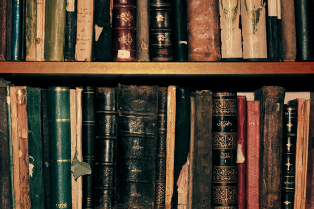 Resumo do livro "O Tronco do Ipê" – José de Alencar