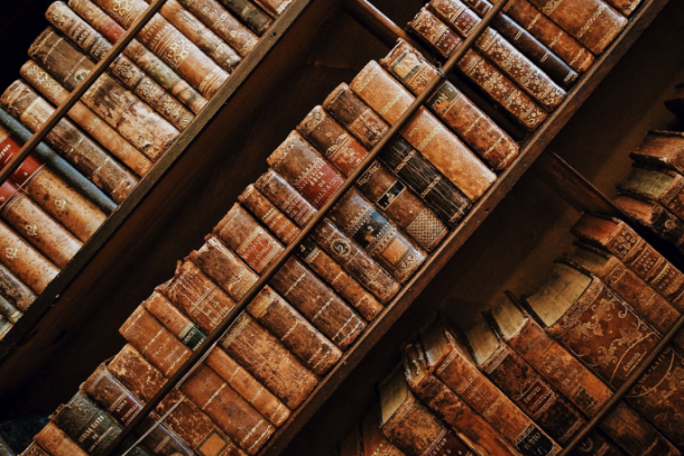 Resumo do livro "Técnicas de Peticionamento no Processo Civil" – Daniel Amorim Assumpção Neves