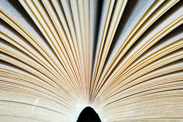 Resumo do livro "The Keep" – F. Paul Wilson