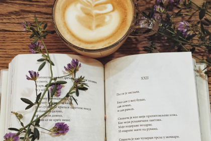 Resumo do livro "Uma Mulher Chamado Damaris" – Francine Rivers