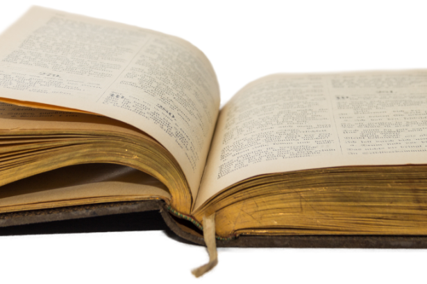 Resumo do livro O Galo e a Pérola – Fedro