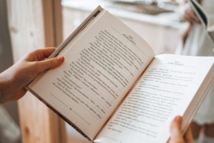 Resumo do livro Os Detetives Selvagens – Roberto Bolaño
