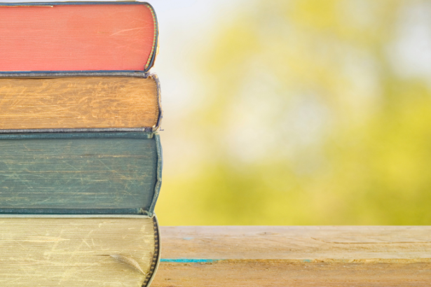 Resumo do livro "A Cabeça do Santo" – Socorro Acioli