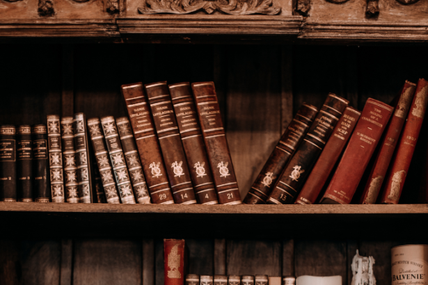 Resumo do livro "A Formiga eo Gafanhoto Vaidoso" – Marina Colasanti