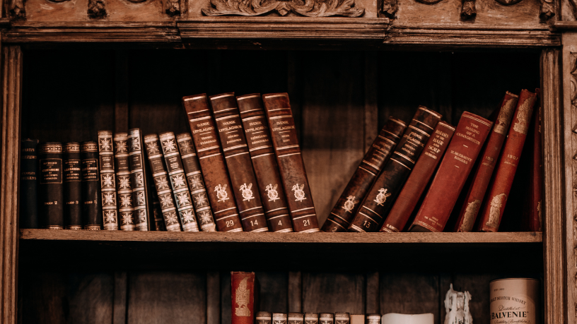 Resumo do livro "A Formiga eo Gafanhoto Vaidoso" – Marina Colasanti