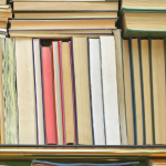 Resumo do livro "A Máquina de Madeira" – Miguel Sanches Neto