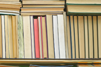 Resumo do livro "A Máquina de Madeira" – Miguel Sanches Neto