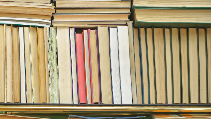 Resumo do livro "A Máquina de Madeira" – Miguel Sanches Neto
