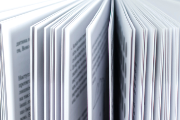 Resumo do livro "A Sombra de Verena" – João Felipe Andrade