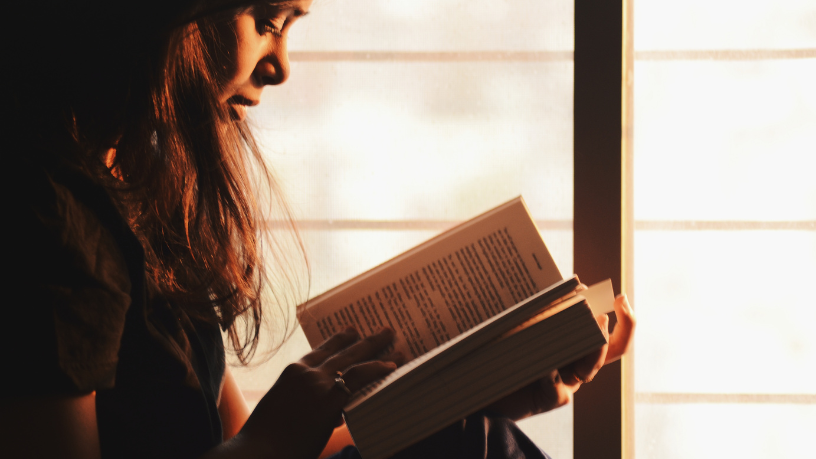 Resumo do livro "As Maçãs de Cedrillon" – Maurice Druon