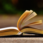 Resumo do livro "Direito Intertemporal Processual Civil" – Daniel Amorim Assumpção Neves