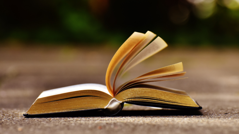 Resumo do livro "Direito Intertemporal Processual Civil" – Daniel Amorim Assumpção Neves