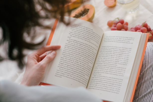 Resumo do livro "O Amanuense Belmiro" – Cyro dos Anjos