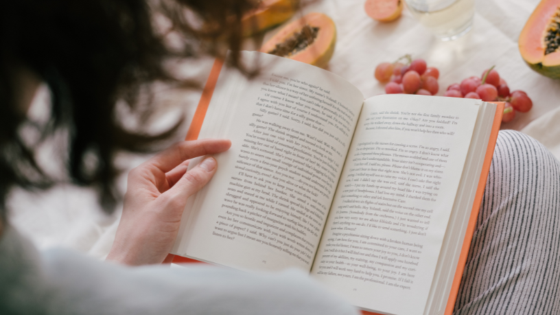 Resumo do livro "O Amanuense Belmiro" – Cyro dos Anjos