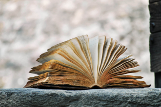 Resumo do livro "O Burro e o Leão Caçadores" – Fedro