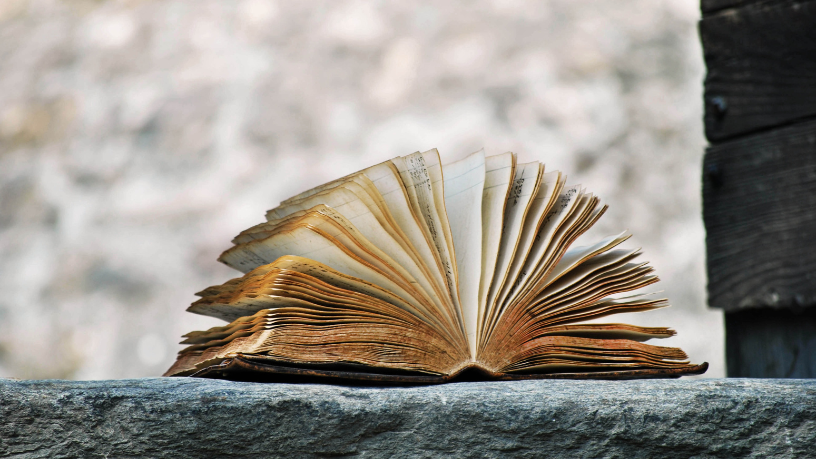Resumo do livro "O Burro e o Leão Caçadores" – Fedro