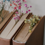 Resumo do livro "O Eco do Labirinto" – Marina Costa Leme