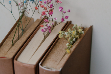 Resumo do livro "O Eco do Labirinto" – Marina Costa Leme