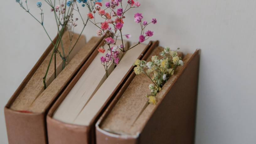 Resumo do livro "O Eco do Labirinto" – Marina Costa Leme
