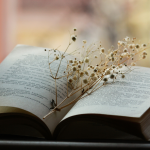 Resumo do livro "O Grito que Morava na Estante" – Tiago Alvim Neto